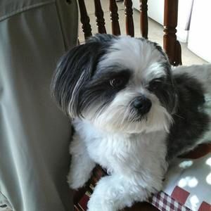 Meet your Posher, Cathy